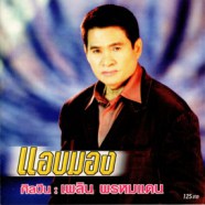 เพลิน พรหมแดน - แอบมอง-WEB